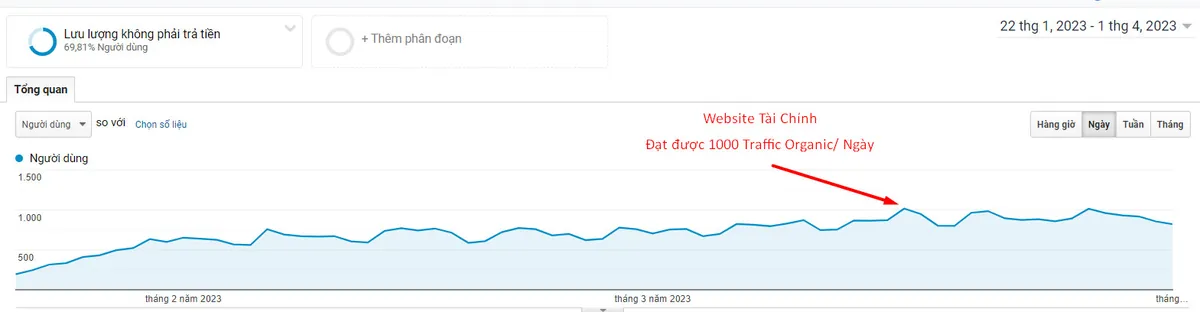 Website tài chính: đạt 1.000 traffic organic mỗi ngày.