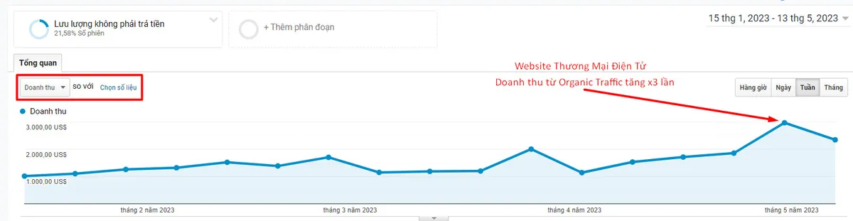 Website thương mại điện tử: doanh thu từ organic traffic tăng gấp 3 (tháng 1 đến tháng 5/2023).