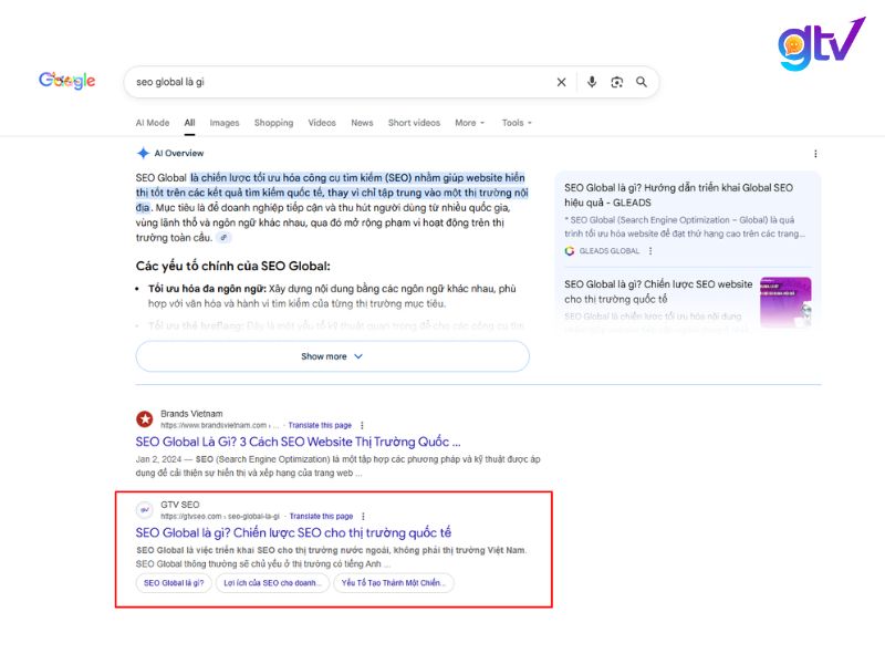 Nguồn traffic người dùng truy cập vào website thông qua SERPs – Organic Traffic