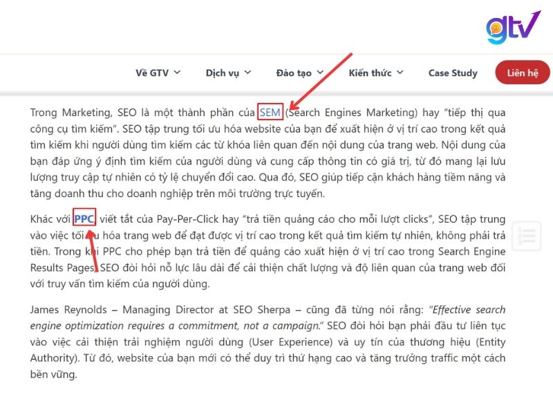 Ví dụ cụ thể cho Anchor Text trong một bài viết trên website GTV SEO