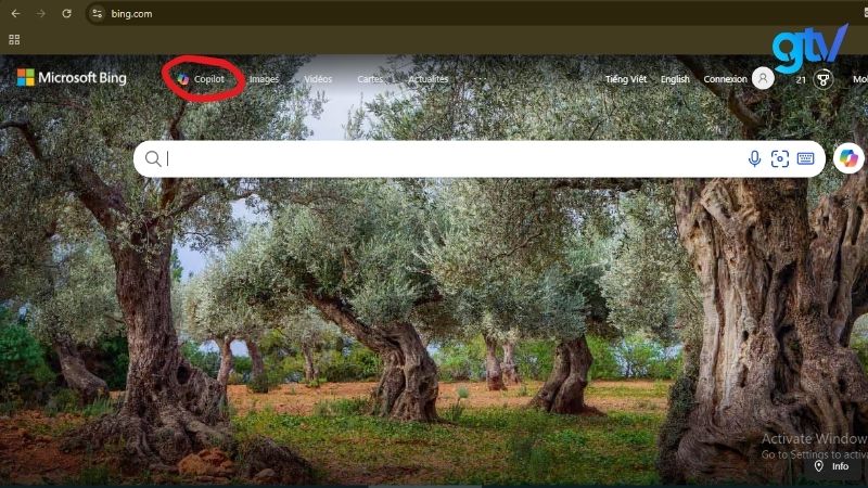 Nhấn vào mục Chat để bắt đầu trò chuyện với AI