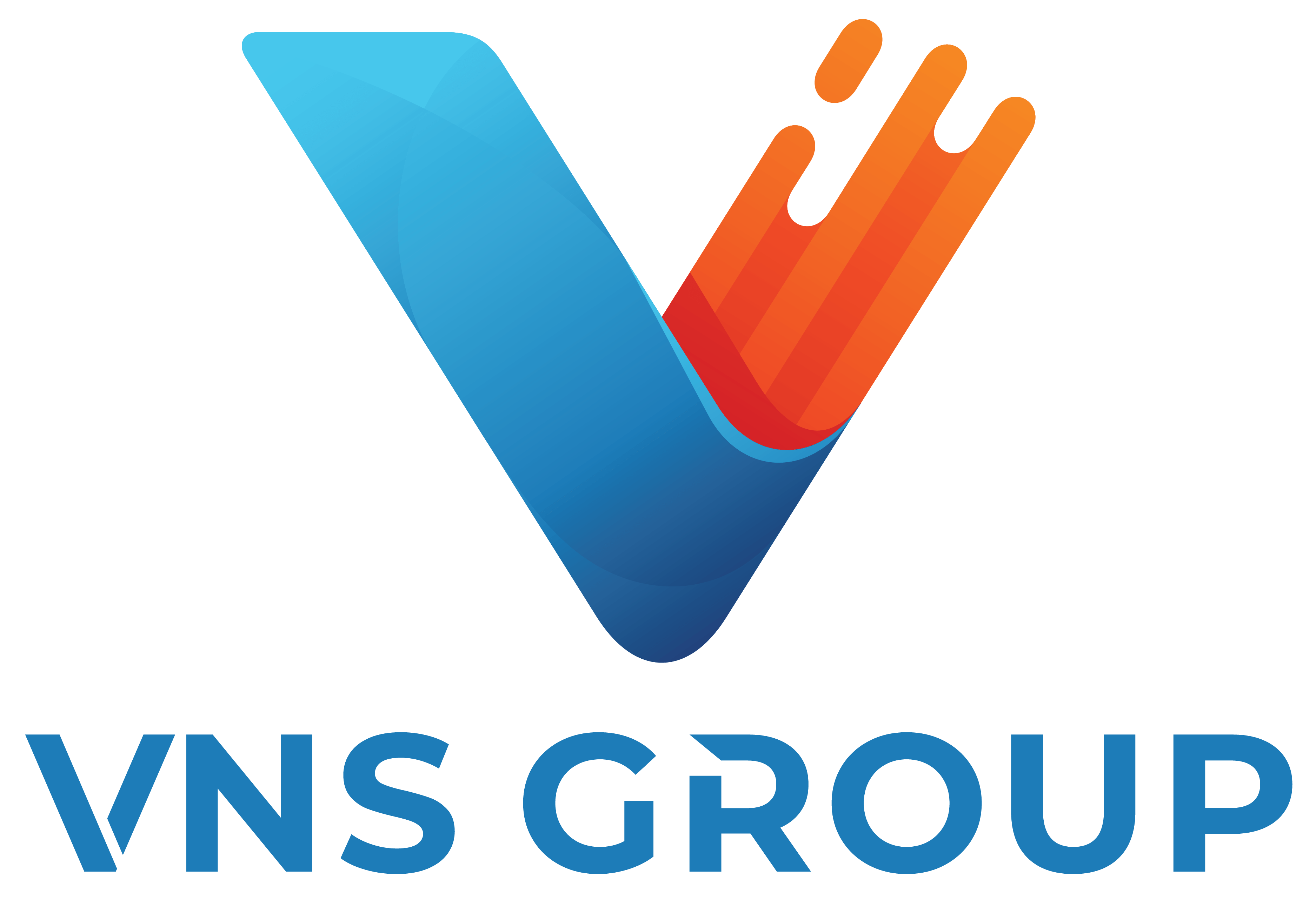 VNS group