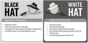 Hai trường phái Black Hat và White hat đối lập nhau