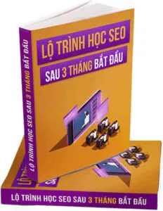Bộ tài liệu Hướng dẫn SEO cho người mới bắt đầu của GTVSEO