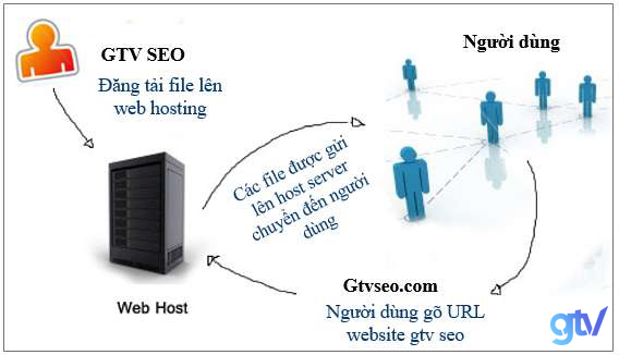 Sự khác biệt giữa tên miền và web hosting