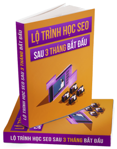 ebook huong dan hoc seo