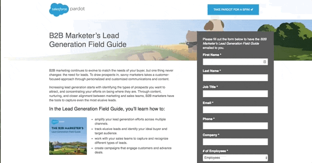 Trên Landing Page - Salesforce