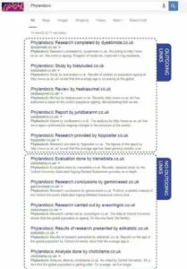 Kết quả thử nghiệm việc SEO từ khóa “phylandocic”