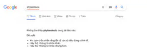 Tiến hành thử nghiệm SEO những từ vô nghĩa