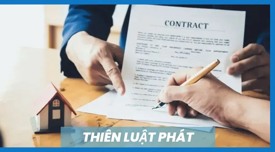 THIÊN LUẬT PHÁT & GTV SEO