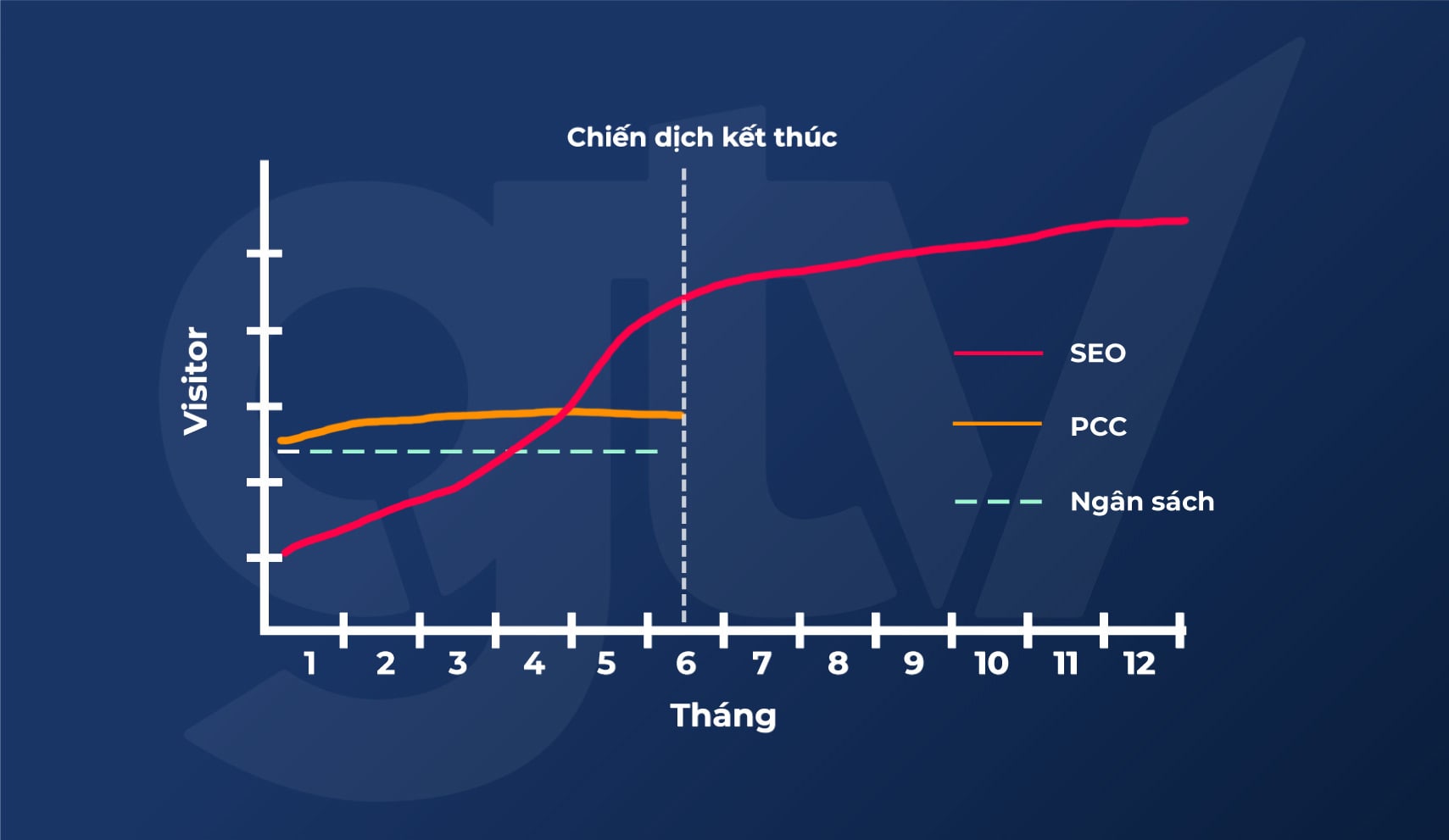Hình minh họa biểu đồ so sánh ROI của kênh SEO và Paid Advertising