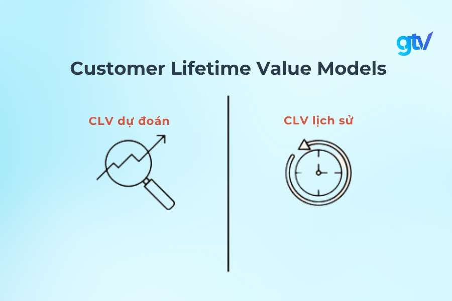 Các loại hình của CLV