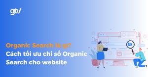 Organic Search là gì? Cách tăng lượt tìm kiếm tự nhiên hiệu quả cho Website