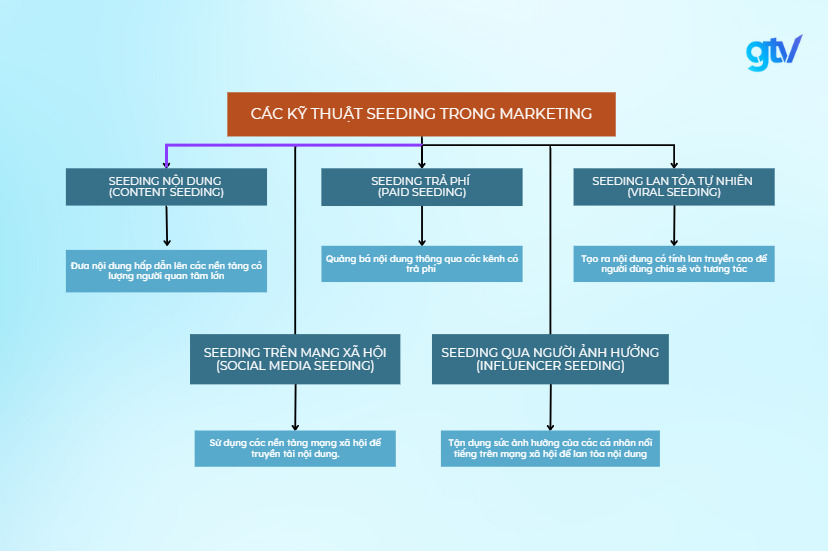 các kỹ thuật seeding