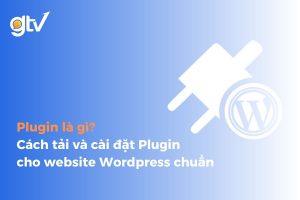 Wordpress plugin là gì