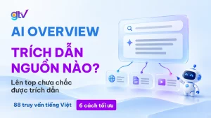 AI Overview trích dẫn nguồn nào?
