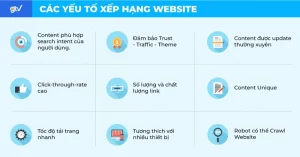 Các yếu tố xếp hạng website quan trọng cần lưu ý.