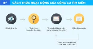 Hành vi tìm thông tin của người dùng Internet