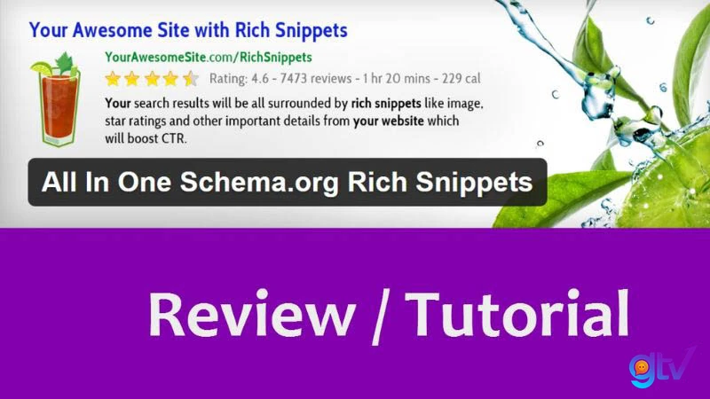 Plugin Org Rich Snippet