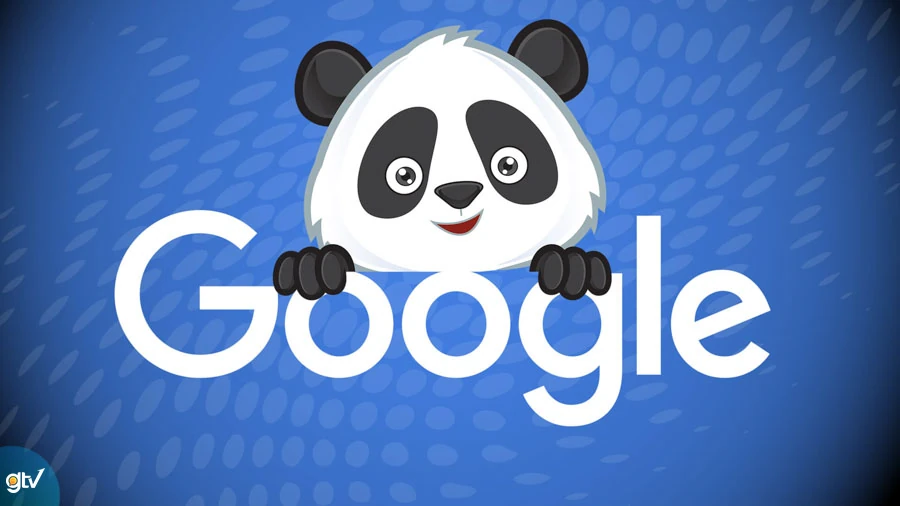 panda back là gì