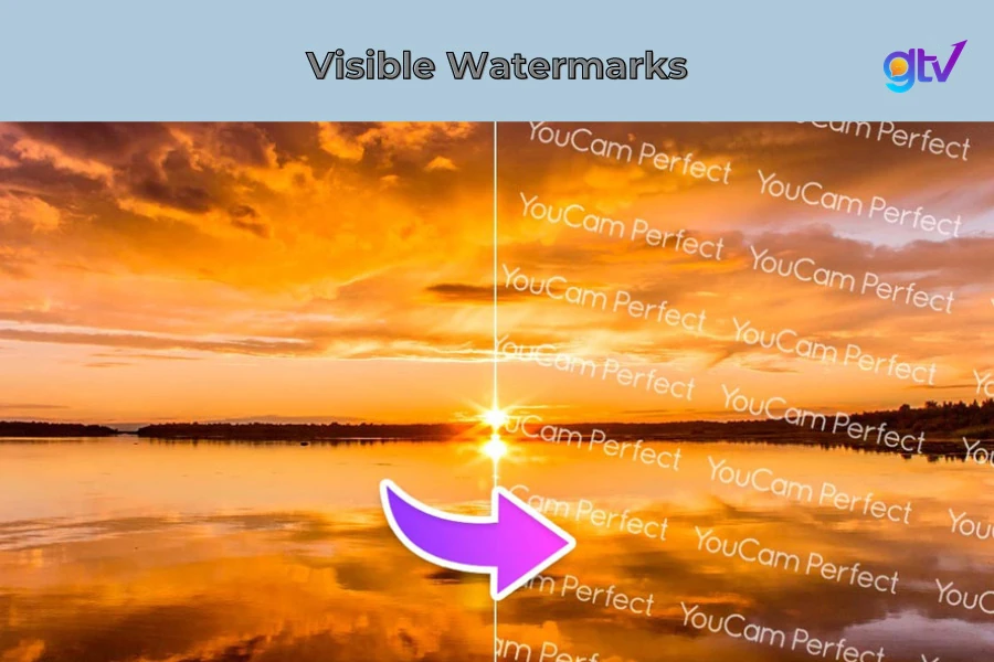 watermark 03
